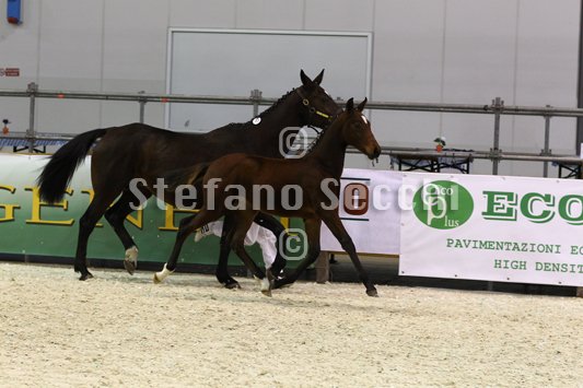 PAN CARRE_MILANO_2010_SS3_8367.jpg